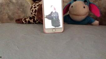 吃瓜娱乐音乐盒,一场听觉与视觉的盛宴 第3张 吃瓜娱乐音乐盒,一场听觉与视觉的盛宴 第3张